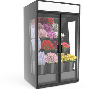 Kukkakylmiö CELIT® MDC 200-120 PRO Flower Cooler