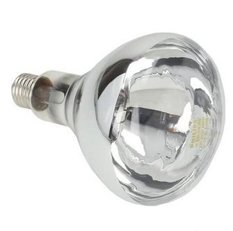 Infrapunalamppu lämpölamppuihin Philips 250W
