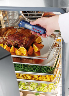 Lämpötilamittari tikulla 