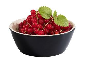 Tarjoilukulho Frida 15 x 15cm